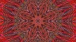 A psychedelic image of recurring patterns made from red and orange.