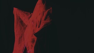 A figure is covered with sheer fabric and awash with red light against a black background