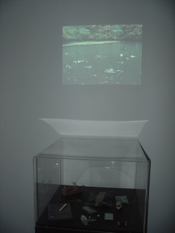 In a murkily—lit room a video of ducks on a pond hovers above a display case