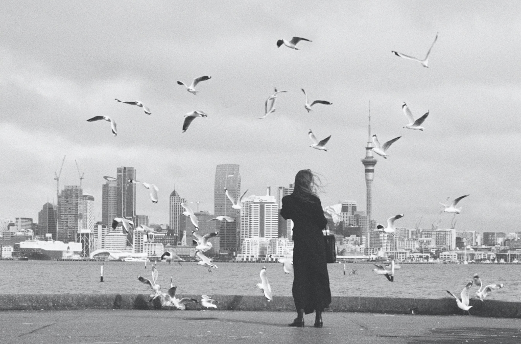 A black and white film still of a woman feeding seagulls in front of the Auckland skyline