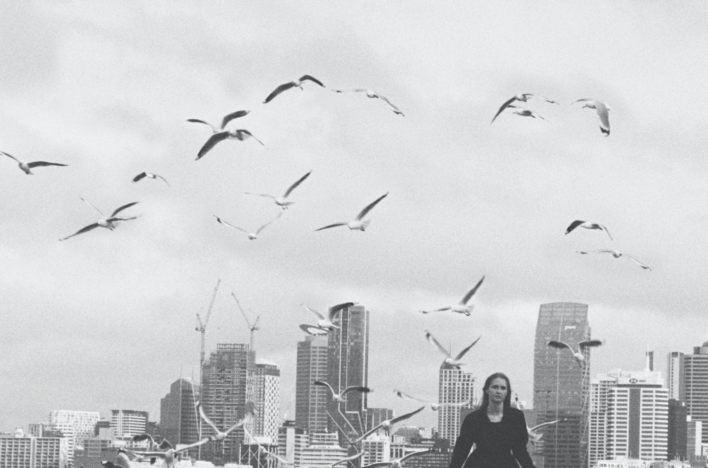 A black and white film still of a woman walking away from a flock of seagulls, silhouetted against the Auckland skyline.