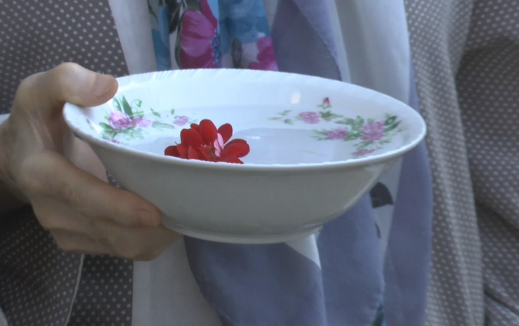 A ceramic bowl with decorative flowers painted on the inside is filled with water and a singular living flower. The bowl is being delicately clasped by the hand of a person who we can not se