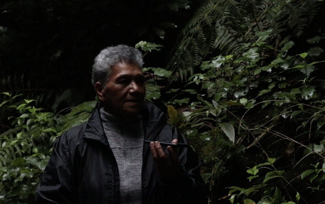 A man speaks into a phone standing in dense bush