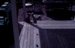 A deck is seen in moonlight, there are dim shadows from garden objects.