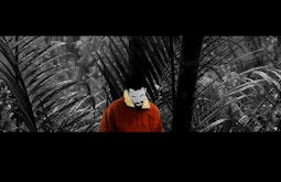 An animated figure wearing a red jacket is superimposed over a black and white scene of ferns.