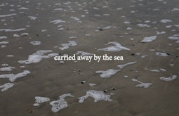 The shallow of edge of a wave with the words "carried away by the sea" written on screen.