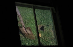 A video of a hole in a lawn being dug is projected onto a window.