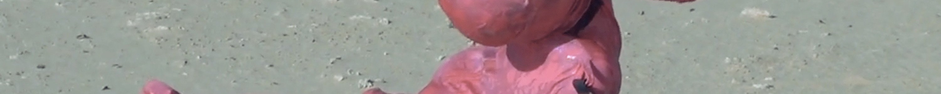 A figure dressed in a full-body holographic pink morph suit crawls along the sand on a sunny beach. They are potentially being walked like a dog or pulled along. This is shown by a black piece of fabric around their neck leading outside of the image to something or someone we can not see.