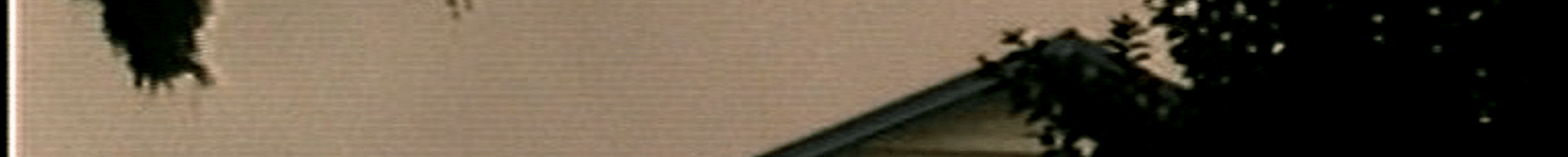 Grainy image of a house