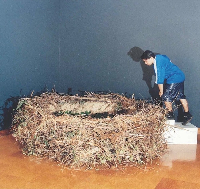 A large oversize sculpture of a birds nest is viewed by a person who leans over from a set of stairs to see inside.