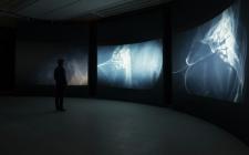 img6