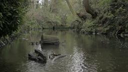 A river flanked on either side by mossy trees and bush. In the river lies concrete detritus.