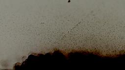 An abstract brown micro landscape of dust and silt.