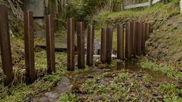 Stepping Into Social Waters: A Video Essay on the Waiwhetu Stream