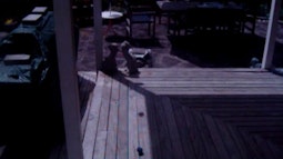 A deck is seen in moonlight, there are dim shadows from garden objects.