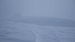 A landscape of snow, there is a hill in the distance through the fog.