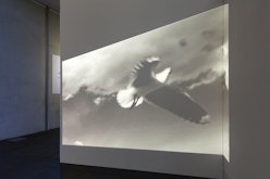 Black and white footage of a bird flying