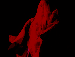 A person is covered in a large delicate red cloth