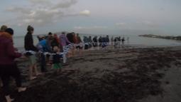 Dozens of people stand in a line on a beach at dusk holding a rope with lights.