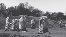 An old film photograph of large rocks standing in a public garden.