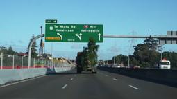 A tree hangs off the back of a truck driving along a motorway.
