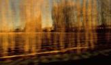 An image taken from a moving vehicle shows golden fields blurring by
