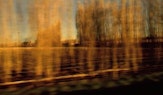 An image taken from a moving vehicle shows golden fields blurring by