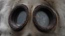 Rusty windows or vents