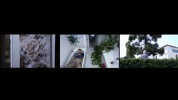 Havana Green