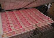 Large sheets of pinkish printed money dry on a multilayered drying rack
