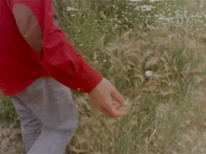 A grainy image of a close up of a person's hand as they walk along a grassy landscape.