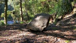 A large boulder sits on a river bank surrounded by bush. Dappled light shines onto the rock.