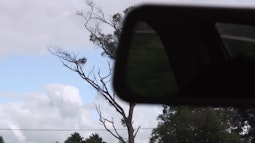 A cars rearview mirror partially obscures a view of trees and cloudy sky.