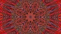 Flower Power Trip