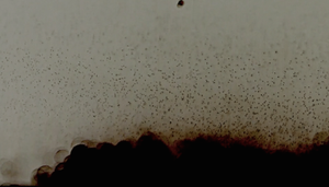 A dark cloud releases micro fragments into water