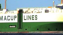 A large green and white container ship floats past.