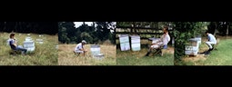 4 side-by-side images of people sitting in a chair in a field looking at bee hives.