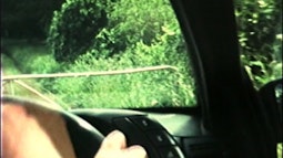 A backseat view of someones hands holding the steering wheel. Green bush is seen through the windscreen.