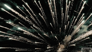 Fireworks exploding into the night sky