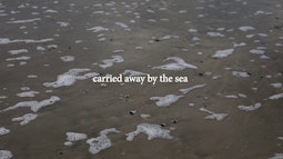 The shallow of edge of a wave with the words "carried away by the sea" written on screen.