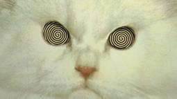 One Minute Enlightenment