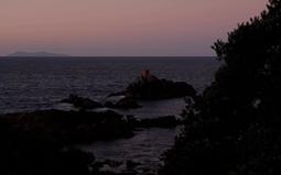 A coastal scene at dusk. Rocks with water lapping at them. A tree on the right obscures part of the view.