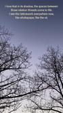 A crescent moon is framed between bare tree branches under a clear sky at dusk. At the top of the frame read the words words "I love that in its shadow, the spaces between those relation threads come to life. I see this latticework everywhere now, like whakapapa; like the vā."