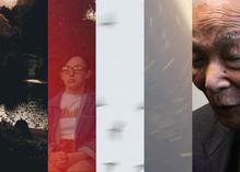An image made up of five stills cut up into strips creating a horizontal collage. One stripe shows ducks on a lake, a person sitting on a chair, blurred birds, blurred fragments, a close up of a person's face.