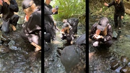 Three videos play side by side of people dressed all in black standing and walking in a small stream.