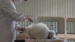 Aona