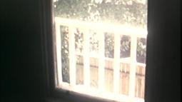 Looking through a window there is a white porch fence and trees.