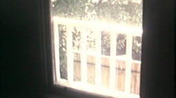 Looking through a window there is a white porch fence and trees.
