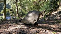 A large rock sits on a forest floor surrounded by bush. A creek can be seen in the top left-hand side of the frame.