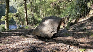 A large rock sits on a forest floor surrounded by bush. A creek can be seen in the top left-hand side of the frame.